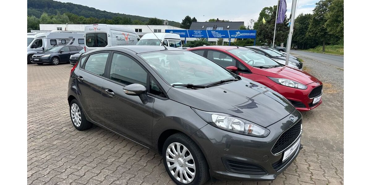 Ford Fiesta 47.469 km 8.290 &euro; Springe 31832