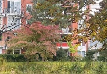 Wohnung Ronnenberg - 3 Zimmer, 72 m&sup2;, 996&euro; | Angebot:27589093