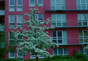 Wohnung Hannover Nordstadt - 2 Zimmer, 57 m&sup2;, 599&euro; | Angebot:26754698